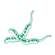 6966集团(中国)有限公司官网