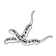 6966集团(中国)有限公司官网