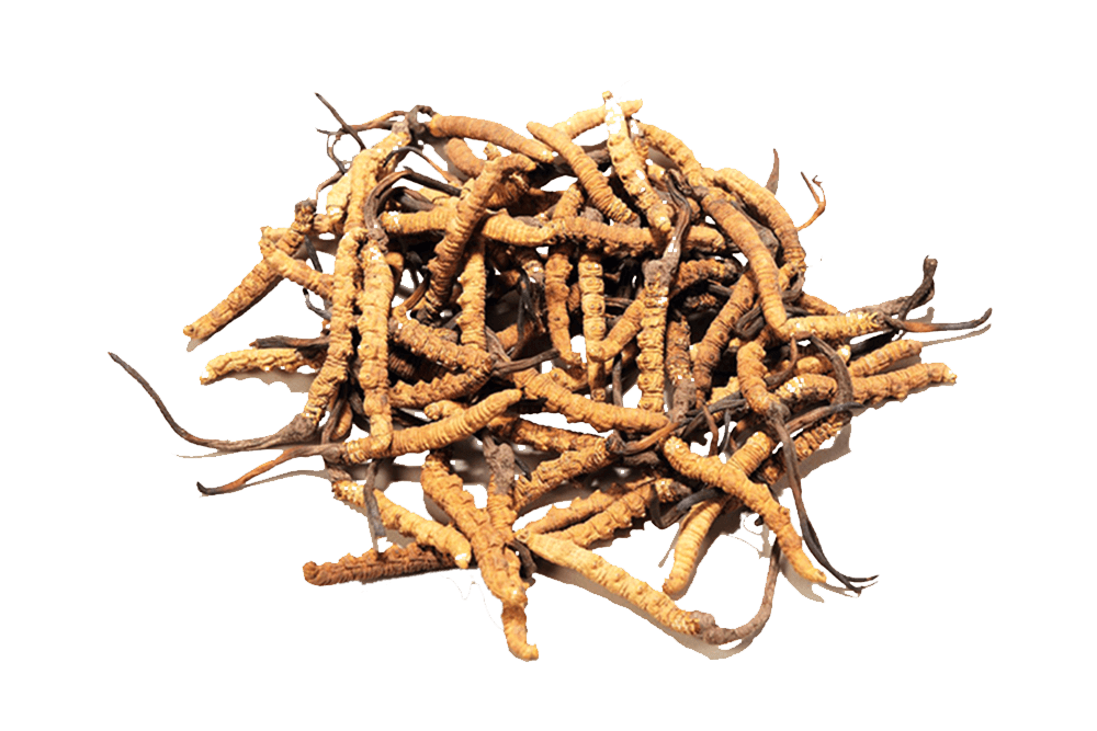 6966集团(中国)有限公司官网