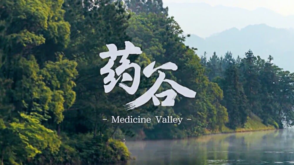 6966集团(中国)有限公司官网